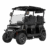 Black Metallic Pearl